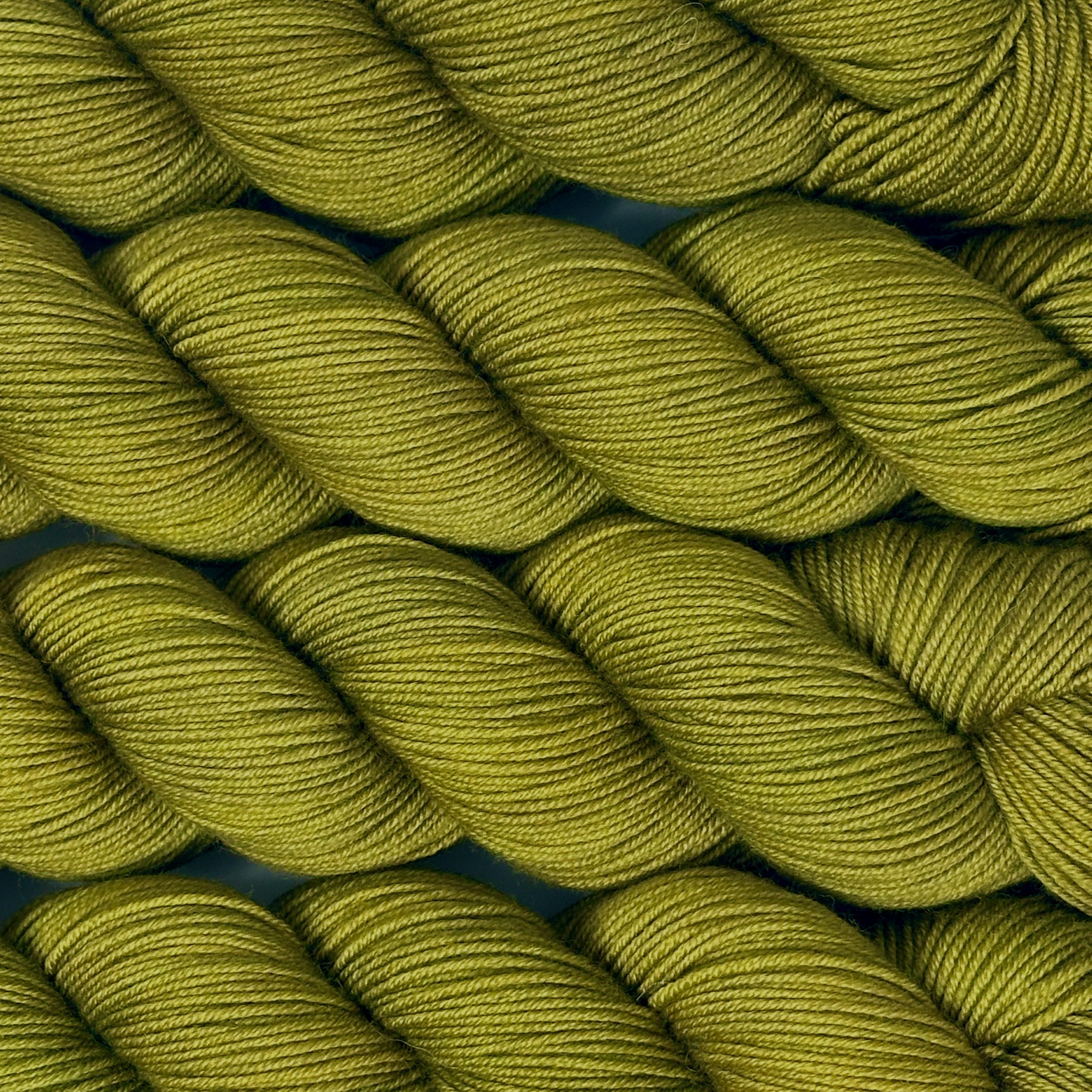 fern